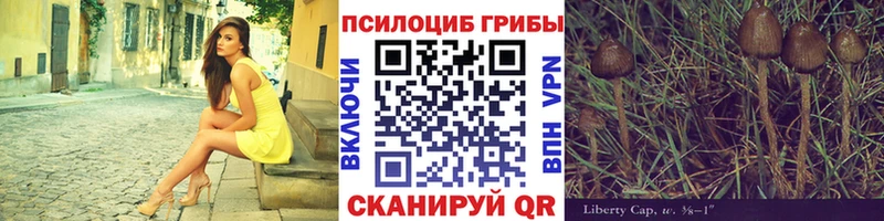 Псилоцибиновые грибы ЛСД  дарнет шоп  Лермонтов 